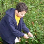 Fuller Middle School bilingual students collect data for Harvard Forest