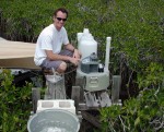 FCE graduate student Ralph Mead working at on of the Taylor Slough mangrove site