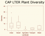 Variations in total plant diversity between CAP LTER